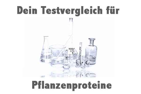 Pflanzenprotein