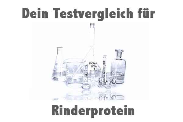 Rinderprotein