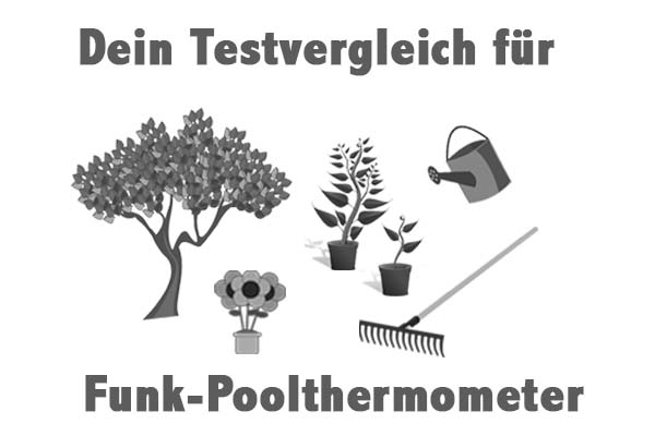 Funk-Poolthermometer