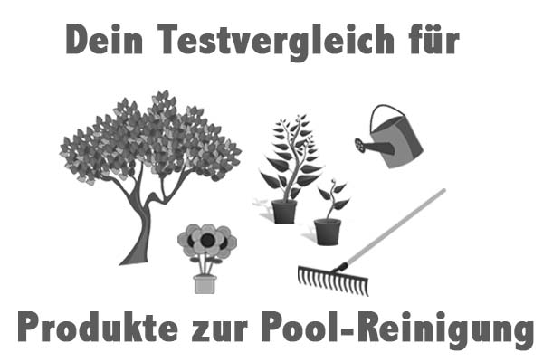 Produkte zur Pool-Reinigung