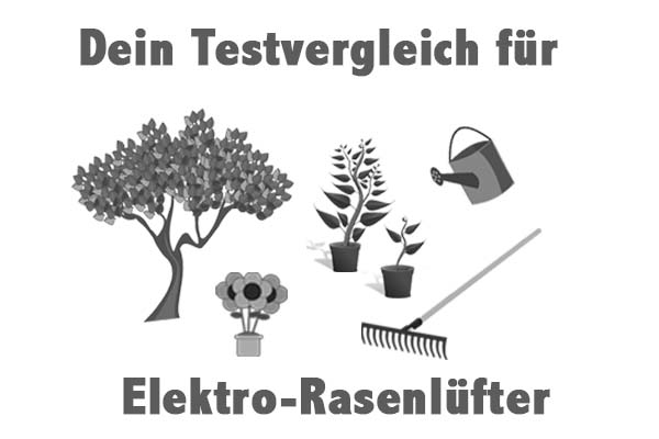 Elektro-Rasenlüfter