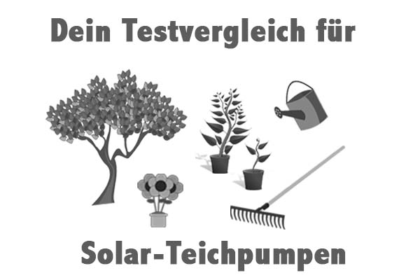 Solar-Teichpumpen