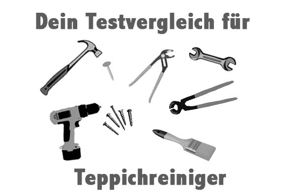 Teppichreiniger